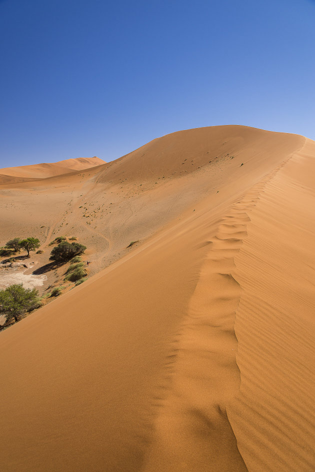 Duinen klimmen