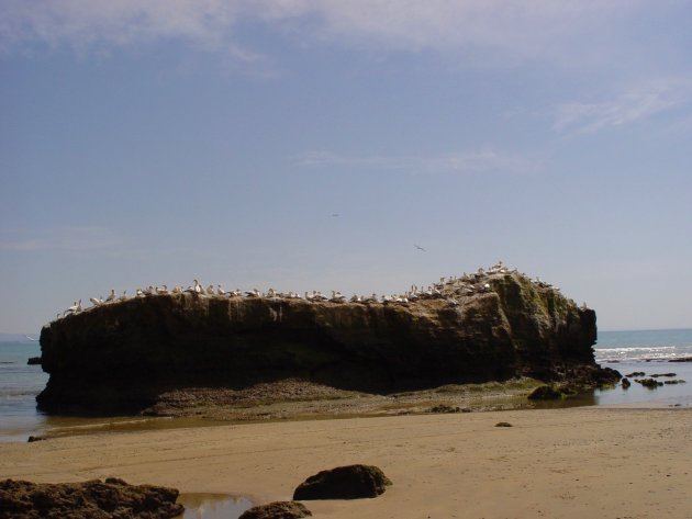 Cape Kidnappers