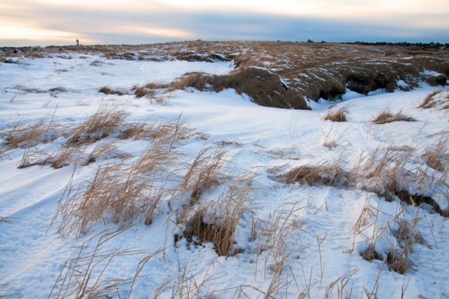 Sneeuwlandschap