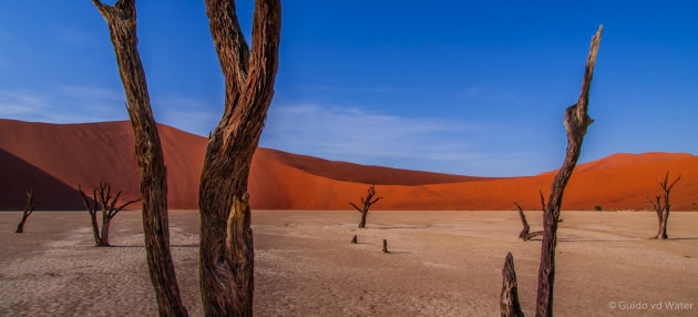 Deadvlei maar dan anders...