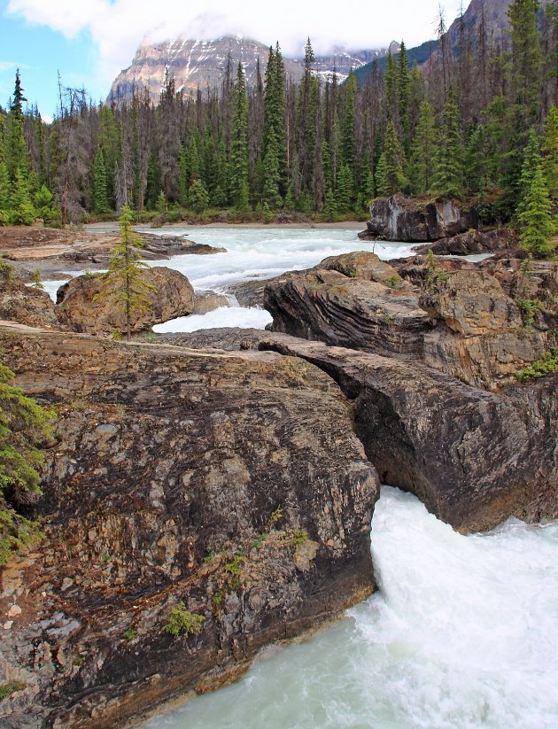 Kicking Horse