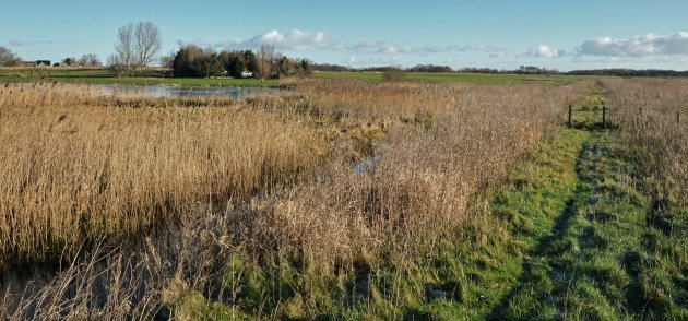 Korte wandeling Waverhoek