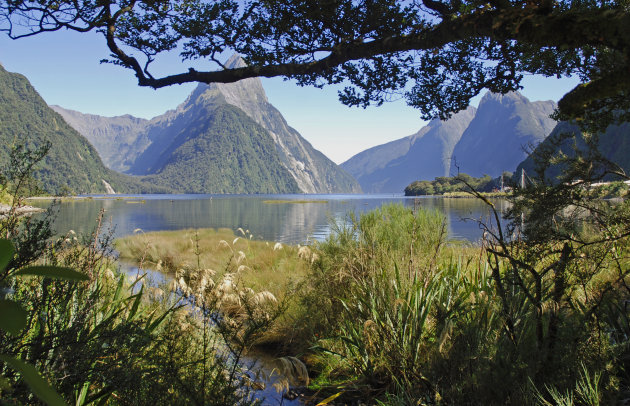 Milford Sound