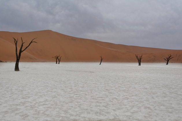 Deadvlei