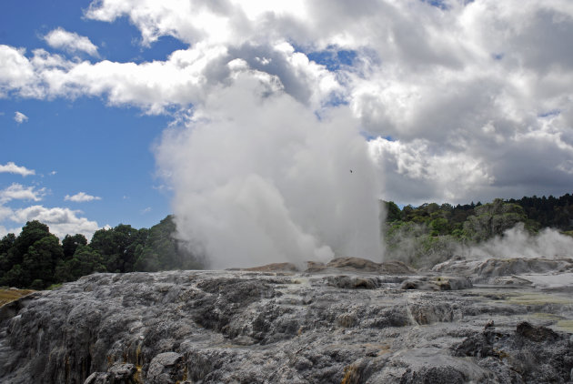 Pohutu Geyser