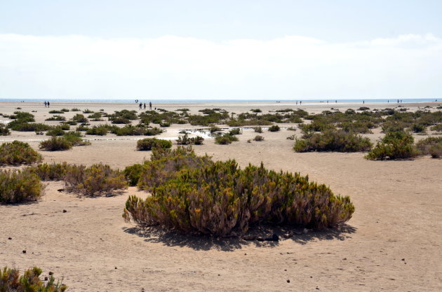 Playa de la Barca