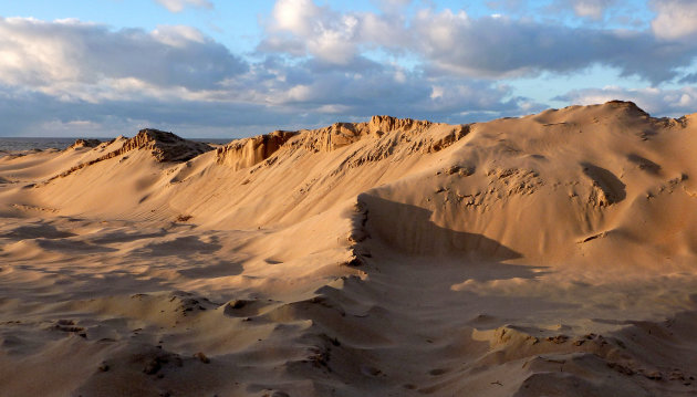 Zandduinen