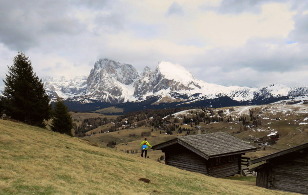 Alpe di Siusi