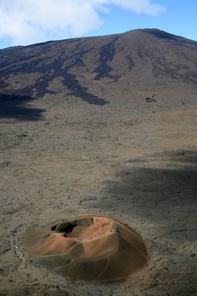 Formica Leo, Enclos Fouqué, La Réunion, France