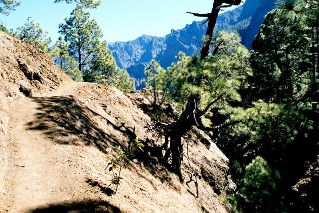 Wandelen op La Palma