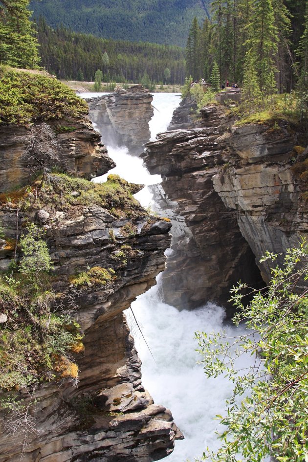 Athabasca Falls