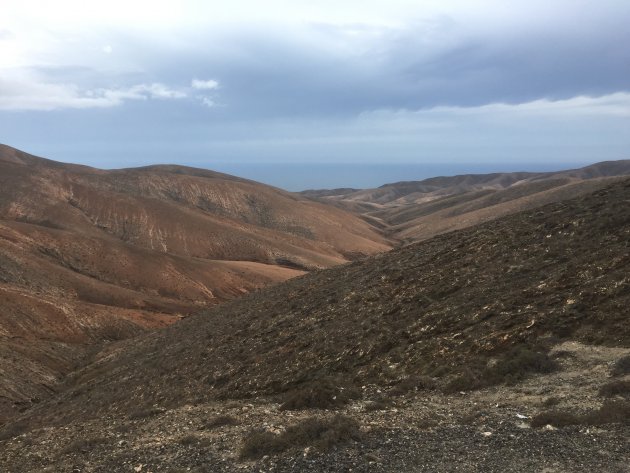 Fuerteventura