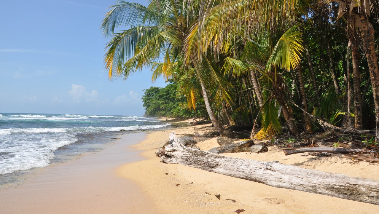 Ongerepte stranden aan de caribbean.