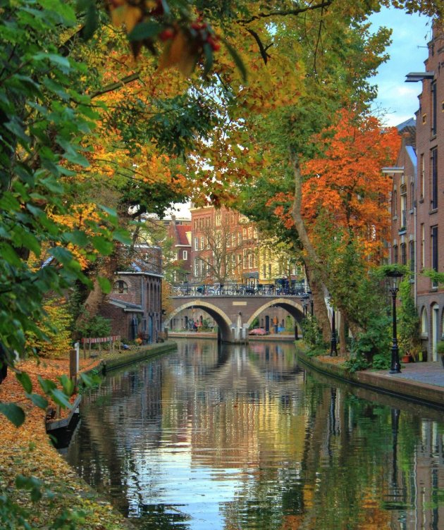 Oude gracht herfst