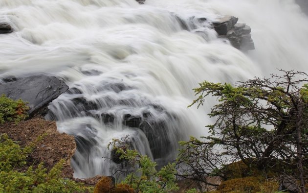 Athabasca Falls