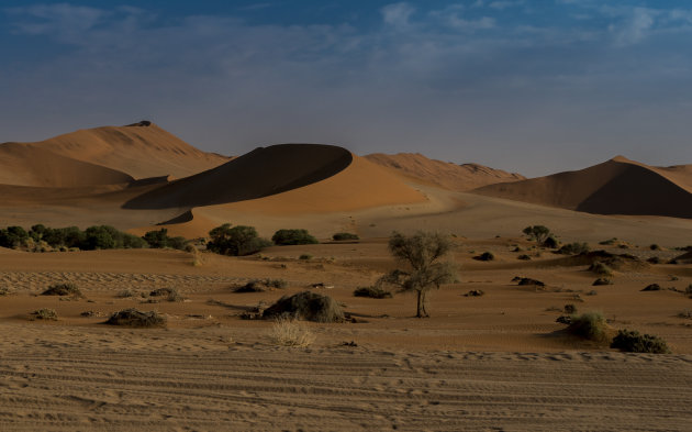 Rood zand Sossusvlei