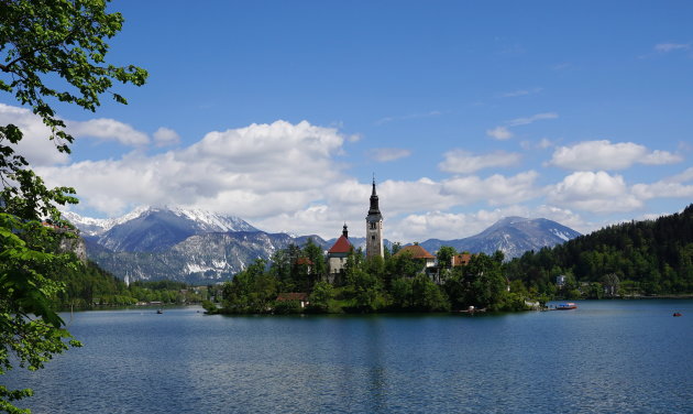 Bled