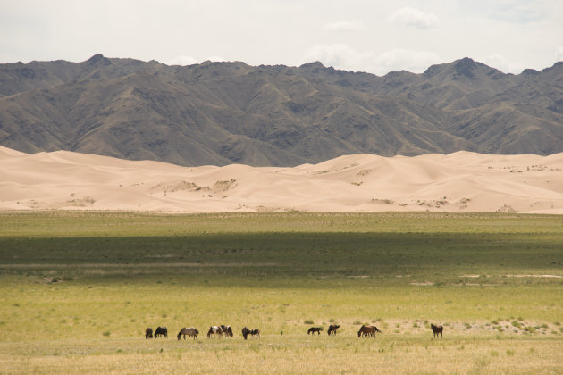 Gobi woestijn