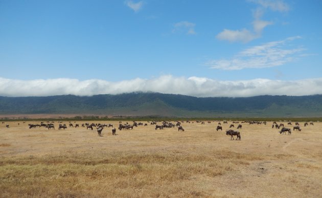 Ngorongoro krater