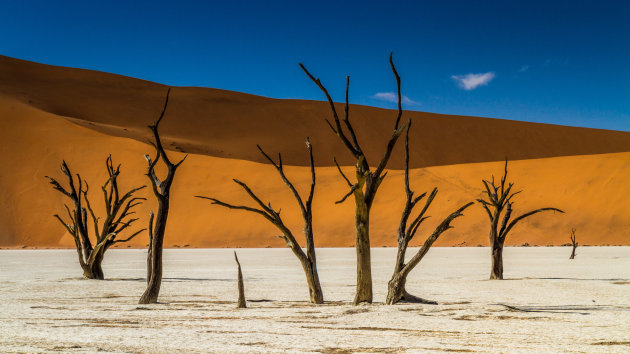 Deadvlei