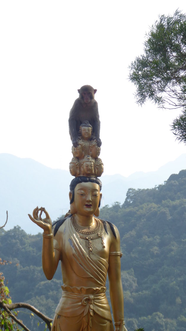 Ten Thousand Buddhas Monastery 