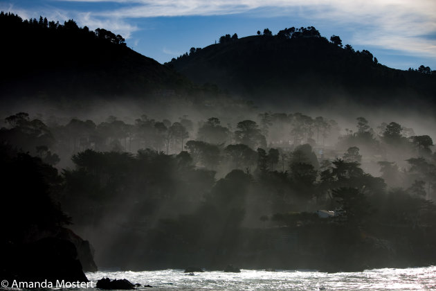 Point Lobos State Park 