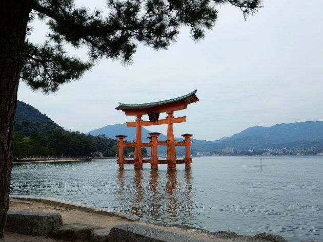 Drijvende Torii