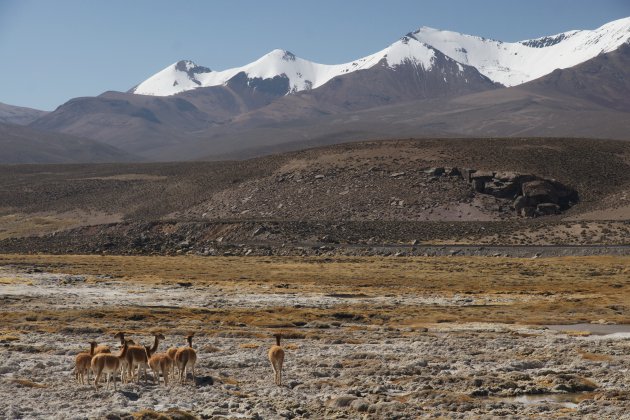 Peru op z'n mooist