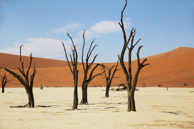 Deadvlei