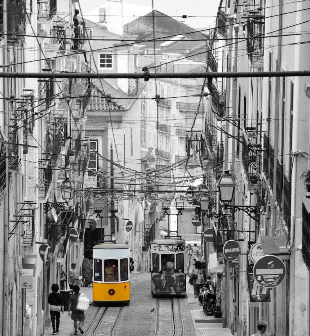 De trams van Lissabon