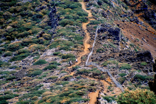 Roque de Los Muchachos