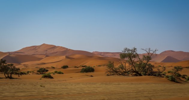 Rondlopen door Namib Naukluft NP