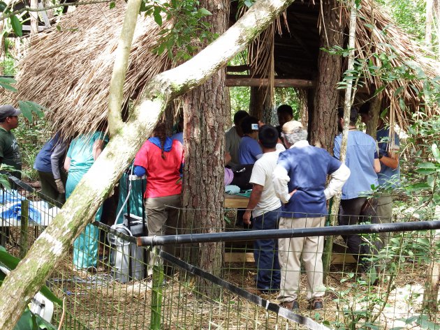 La Democracia - Belize - naar de tandarts