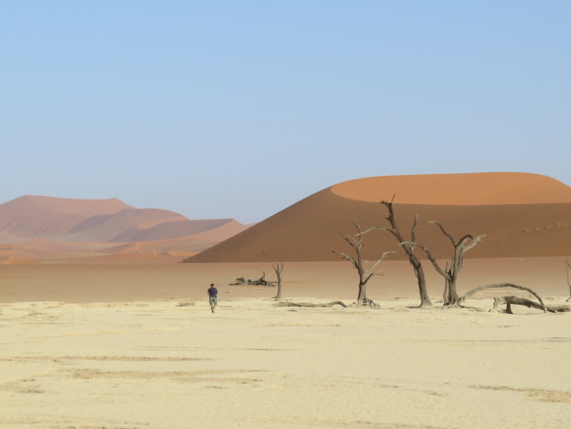 Trotseer de hoge rode duinen om in Deadvlei uit te komen!