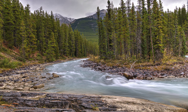 Sunwapta Falls (vlak ervoor)