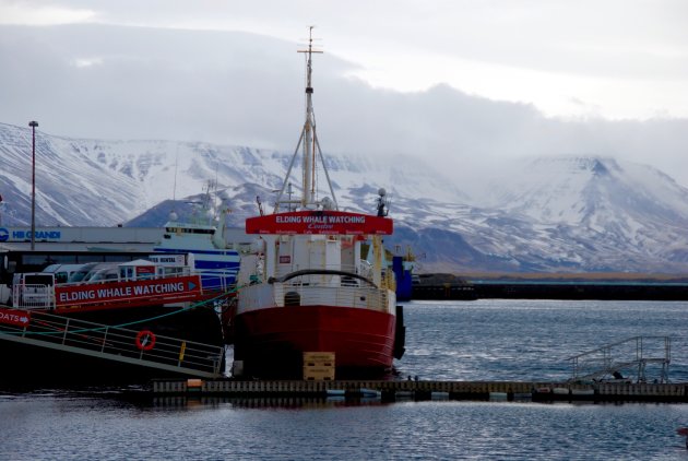 De haven van Reykjavik