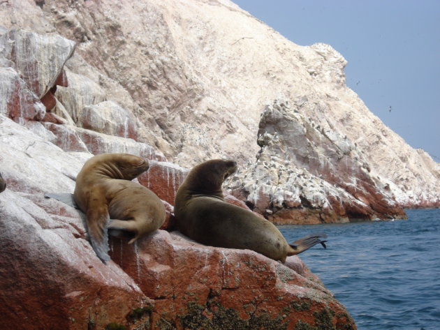 ballestas eilanden