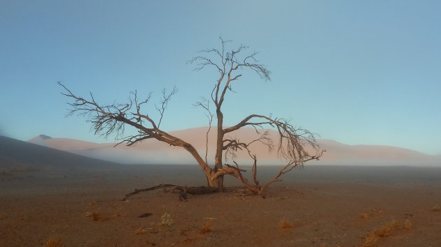 Mist in de woestijn van Namibië