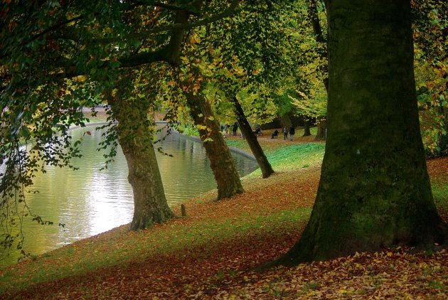 Herfst in Utrecht