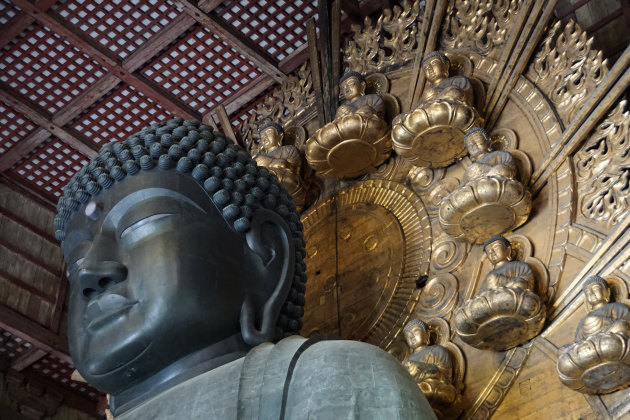 De neusgaten van de grote boeddha