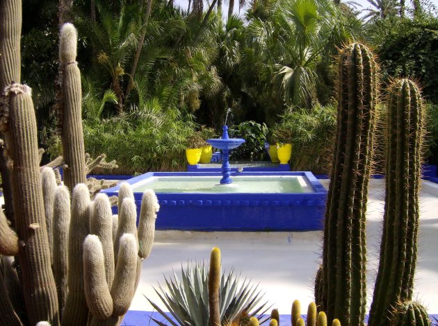 Jardin Majorelle