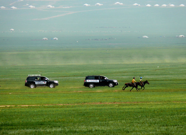 Paardenrace