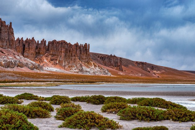 Salar de Tara