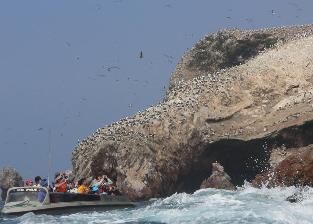 De fotograaf bij Isla Ballestas