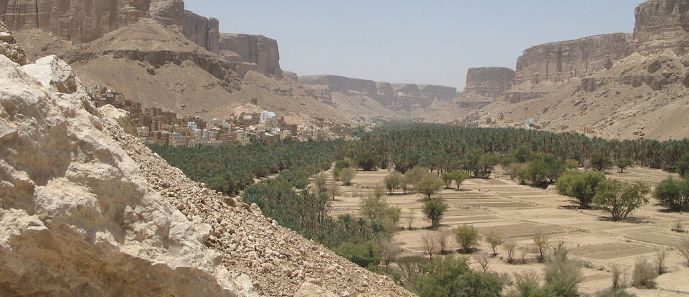 Zuidwest Jemen image