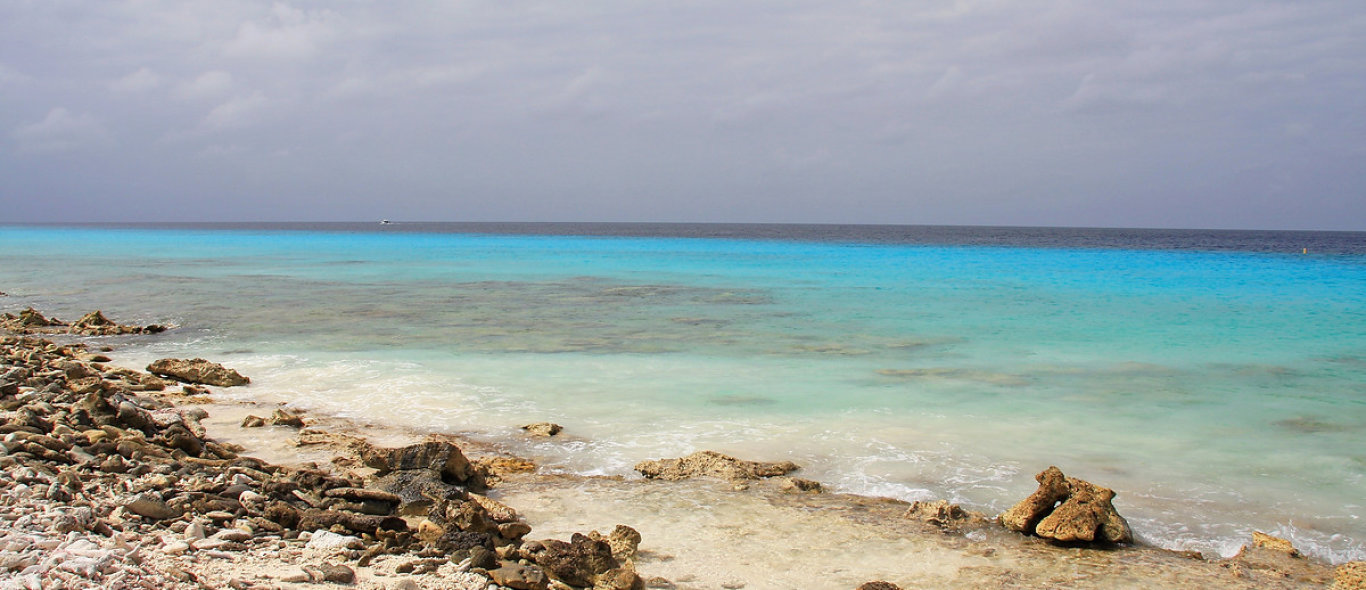 Bonaire image