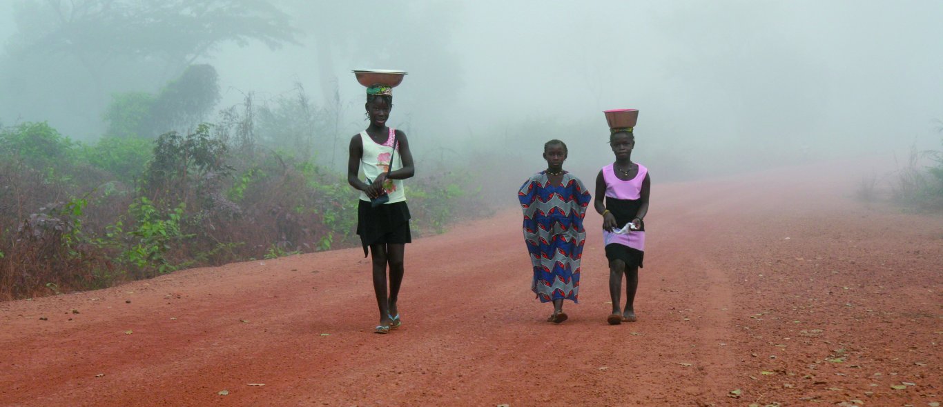 Centraal Guinee-Bissau image
