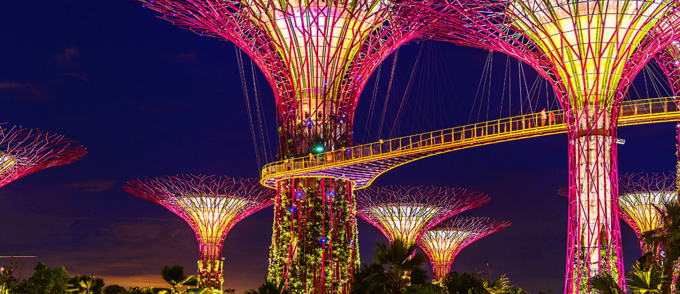 Gardens by the bay image