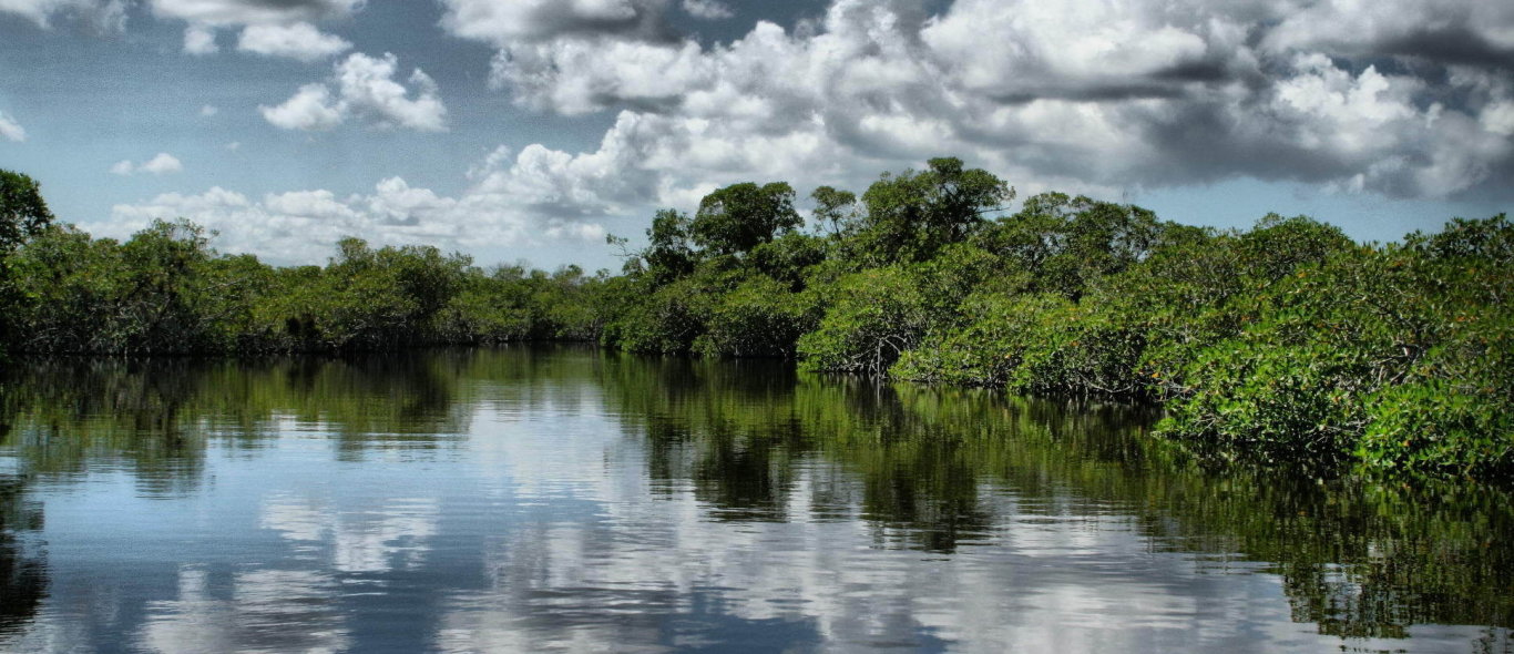 Everglades NP image
