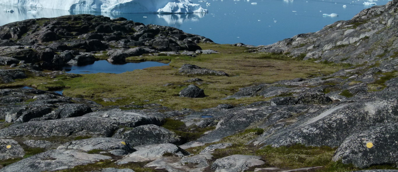 IJsfjord van Ilulissat image